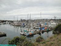 Brookings Harbor