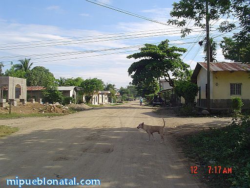 Barrio el Tamarindo