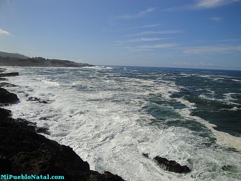 Depoe Bay Whale Watching