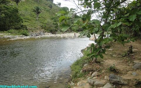 Taujica Honduras