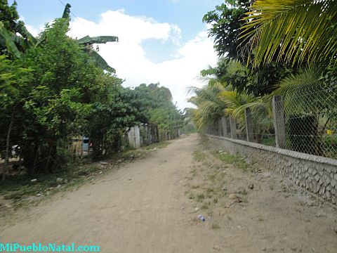 Taujica Honduras