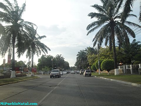 Ceiba Hondura la