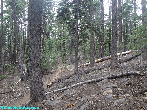 Mount Mcloughlin Pictures