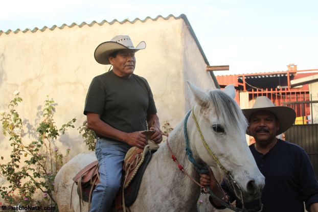 Disfrutando un raite en caballo