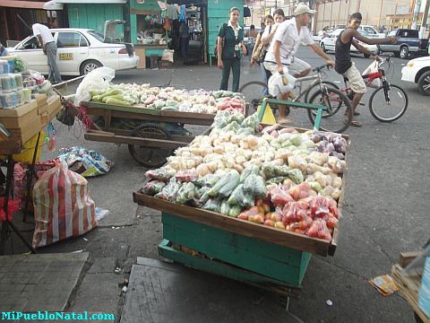 La ceiba