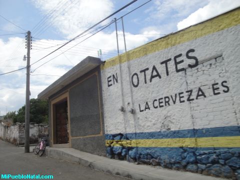 Tienda de Otate